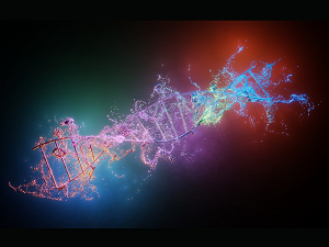 DNA Testing Company Was Hacked