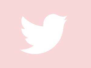 Twitter Increasing Privacy