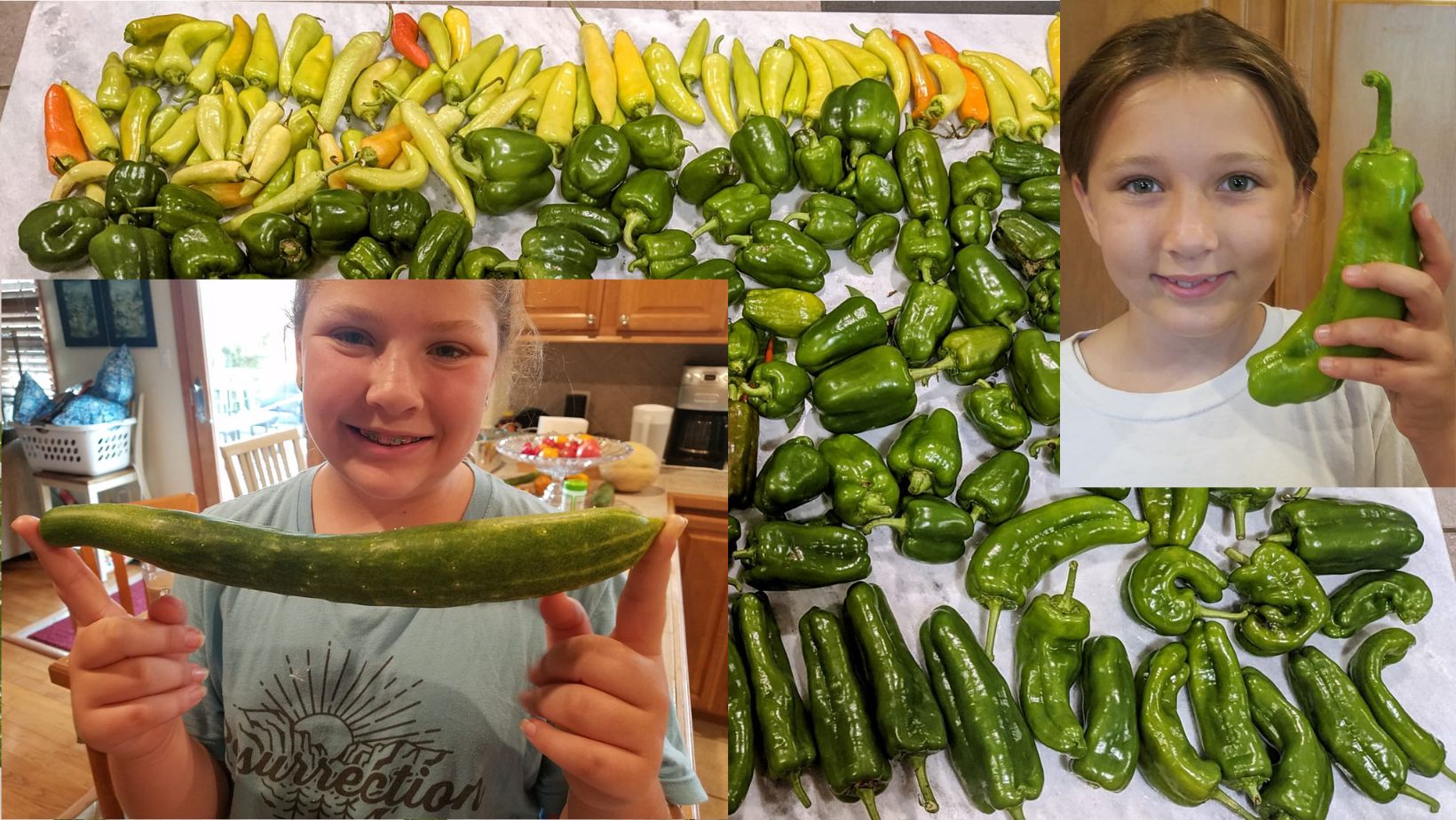 Peas & Carrots & Life In The Garden