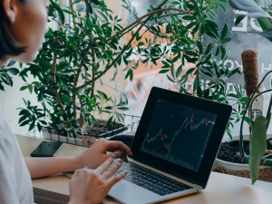 Simplifying Finances for Small Businesses