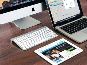 Making the Most Out of E-commerce Websites