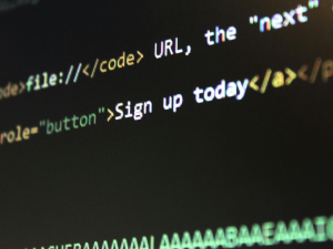 AI Development Puts Security and Privacy at Risk