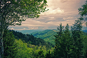 Gatlinburg Hospitality IT: Technology Solutions for Peak Tourist Season